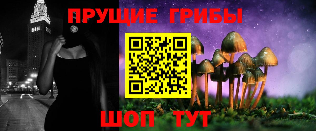 Фрязино  Галлюциногенные грибы MAGIC MUSHROOMS  Вход с VPN 